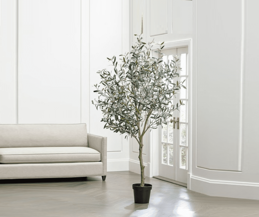 Faux Olive Tree Review Smartest Reviews